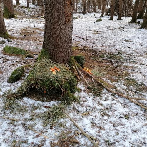 Weihnachten8