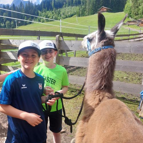 Lama trekking