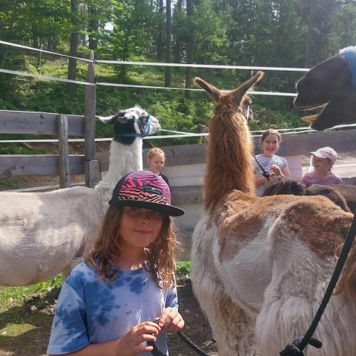 Lama trekking