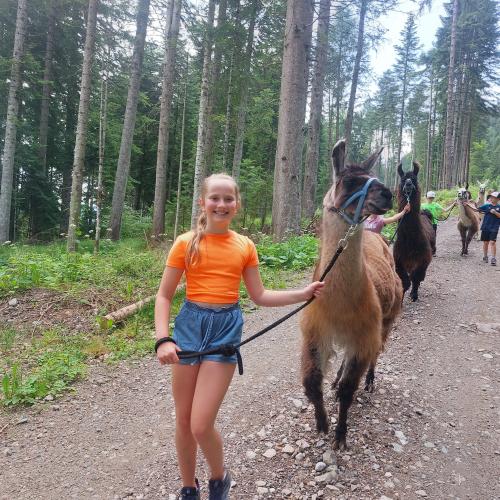Lama trekking