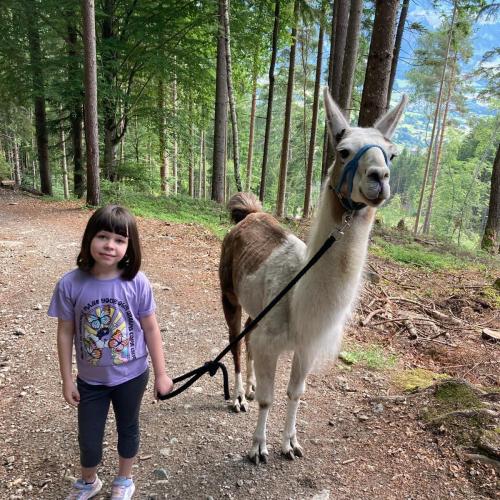 Lama trekking