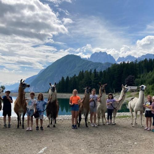 Lama trekking