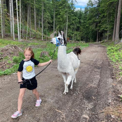 Lama trekking