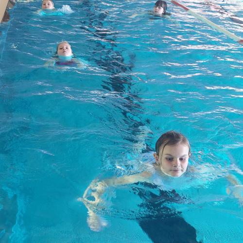 Fleißige Schwimmer