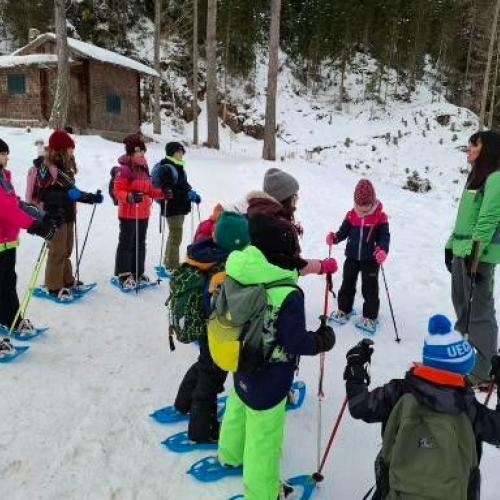 Schneeschuhwanderung 1