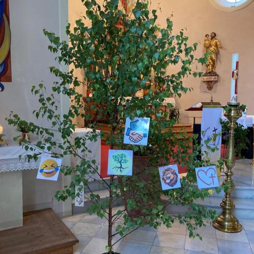 Schlussgottesdienst und Waldspaziergang