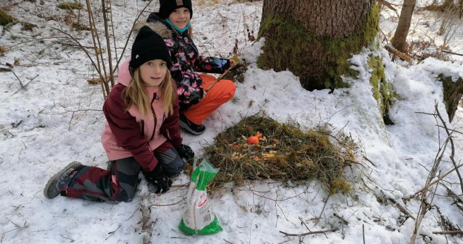Tag vor den Weihnachtsferien