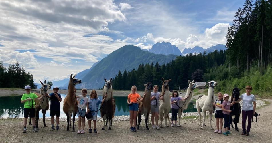 Lama trekking